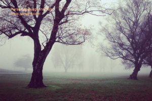 - آموزش زبان چینی در شیراز - موسسه زبان پارسا شیراز