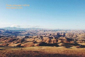 - آموزش زبان کره‌ای در شیراز - موسسه زبان پارسا شیراز