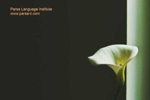 - آموزش زبان اسپانیایی در شیراز - موسسه زبان پارسا شیراز