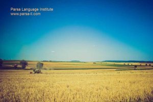 - آموزش زبان آلمانی در شیراز - موسسه زبان پارسا شیراز