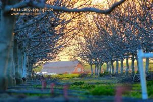 - آموزش زبان آلمانی در شیراز - موسسه زبان پارسا شیراز