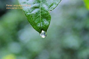 - آموزش زبان آلمانی در شیراز - موسسه زبان پارسا شیراز