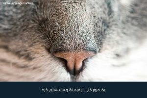 - آموزش زبان کره‌ای در شیراز - موسسه زبان پارسا شیراز