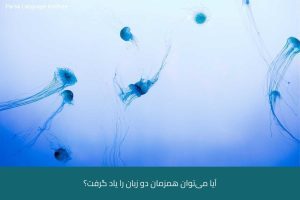 - آموزش زبان آلمانی در شیراز - موسسه زبان پارسا شیراز