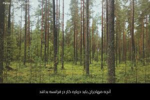آموزش زبان فرانسه در شیراز 62 - آموزش زبان فرانسه در شیراز - موسسه زبان پارسا شیراز