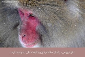 آموزش زبان روسی در شیراز 40 - آموزش زبان روسی در شیراز - موسسه زبان پارسا شیراز