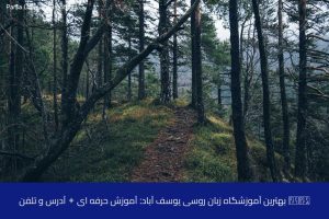 آموزش زبان روسی در شیراز 42 - آموزش زبان روسی در شیراز - موسسه زبان پارسا شیراز