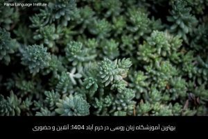 آموزش زبان روسی در شیراز 56 - آموزش زبان روسی در شیراز - موسسه زبان پارسا شیراز