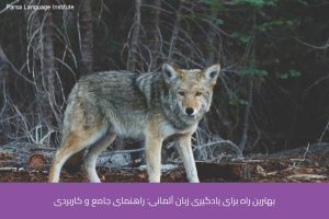 - آموزش زبان آلمانی در شیراز - موسسه زبان پارسا شیراز