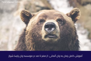 - آموزش زبان آلمانی در شیراز - موسسه زبان پارسا شیراز