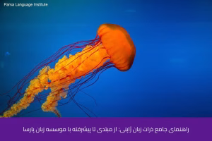 - آموزش زبان ژاپنی در شیراز - موسسه زبان پارسا شیراز