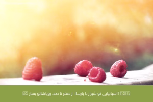 - آموزش زبان اسپانیایی در شیراز - موسسه زبان پارسا شیراز