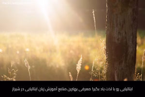 - آموزش زبان ایتالیایی در شیراز - موسسه زبان پارسا شیراز