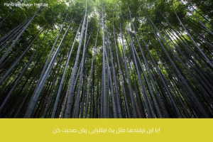 - آموزش زبان ایتالیایی در شیراز - موسسه زبان پارسا شیراز