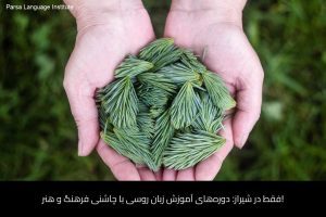 آموزش زبان روسی در شیراز 10 - آموزش زبان روسی در شیراز - موسسه زبان پارسا شیراز