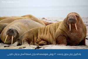 آموزش زبان سوئدی در شیراز 11 - آموزش زبان سوئدی در شیراز - موسسه زبان پارسا شیراز
