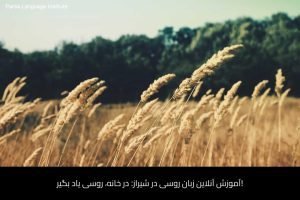 آموزش زبان روسی در شیراز 20 - آموزش زبان روسی در شیراز - موسسه زبان پارسا شیراز