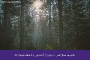 - آموزشگاه زبان های خارجی در شیراز - موسسه زبان پارسا شیراز